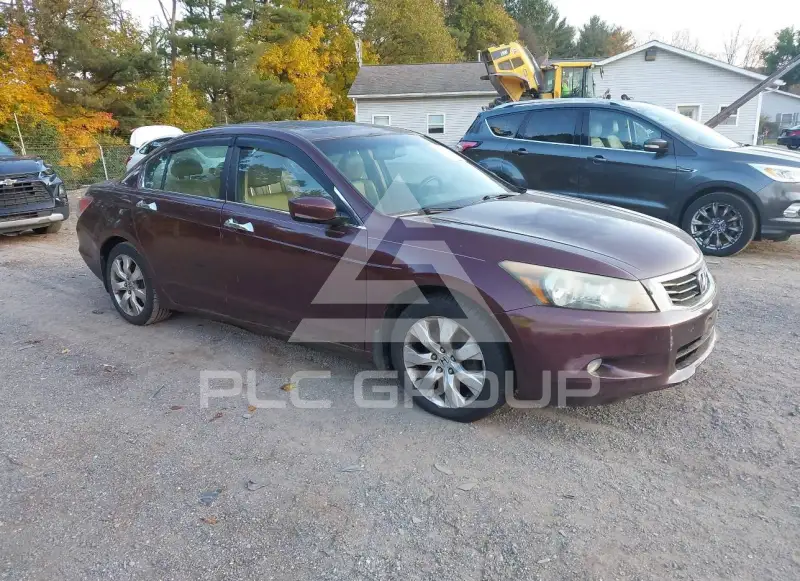 2010 Honda Accord фото