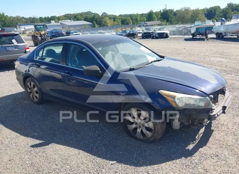 2010 Honda Accord photo