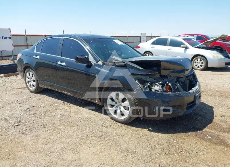 2010 Honda Accord фото
