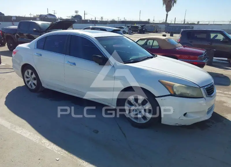 2010 Honda Accord photo
