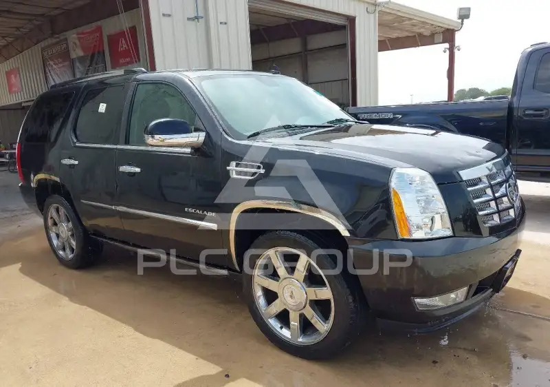 2010 Cadillac ESCALADE photo