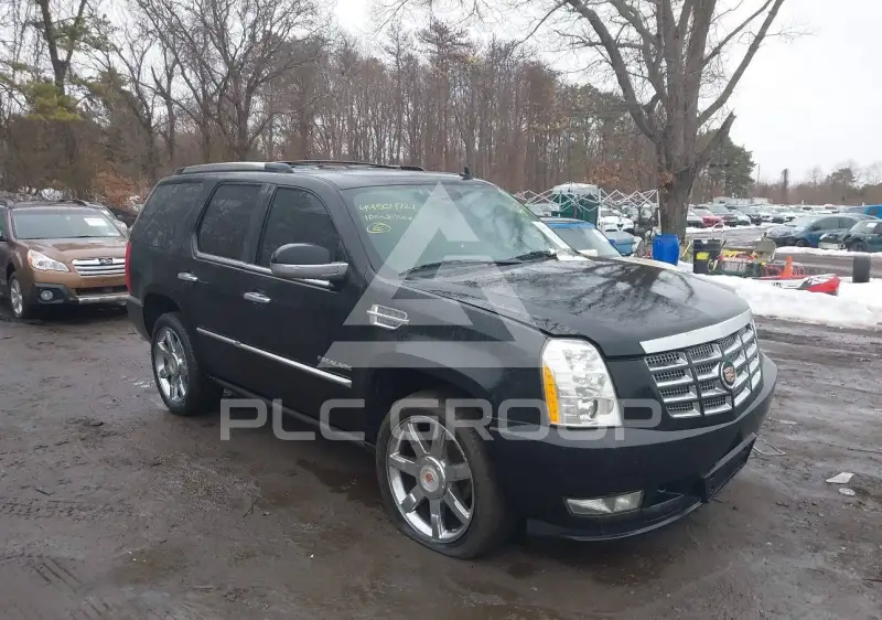 2010 Cadillac ESCALADE фото