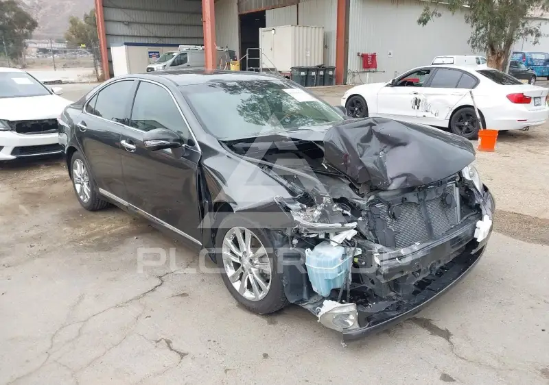 2010 Lexus ES350 фото
