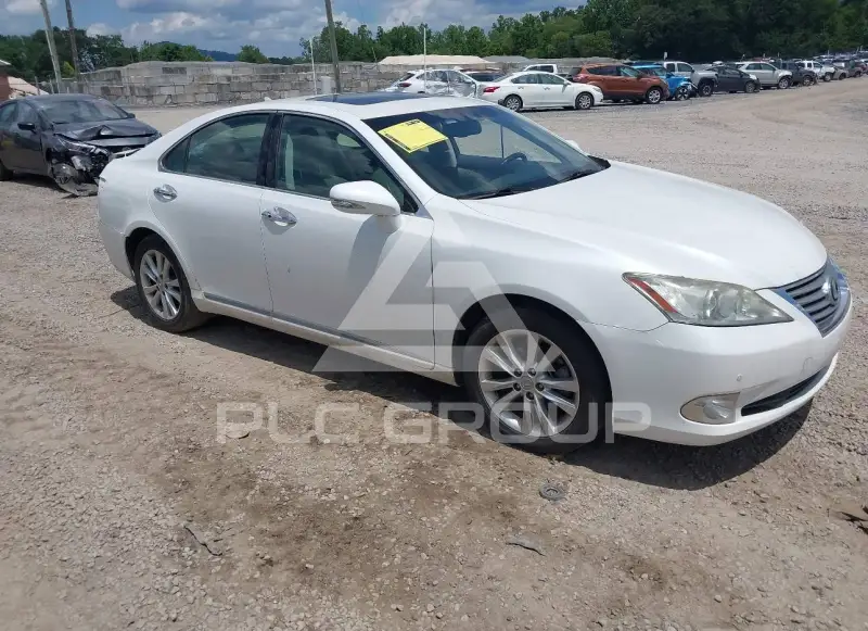2010 Lexus ES350 фото