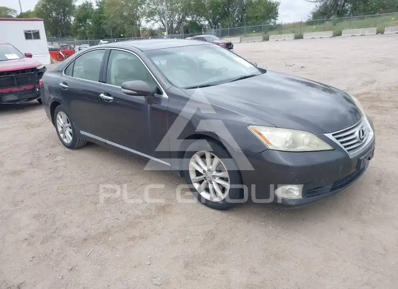 2010 Lexus ES350 фото