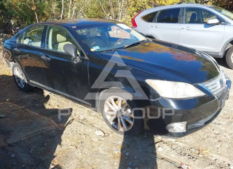 2010 Lexus ES350 фото
