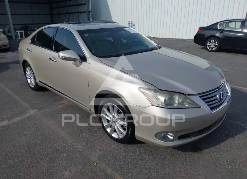 2010 Lexus ES350 фото