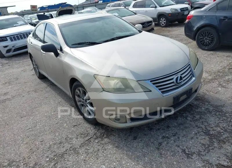 2010 Lexus ES350 фото
