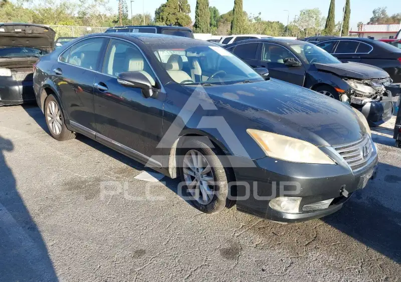 2010 Lexus ES350 фото