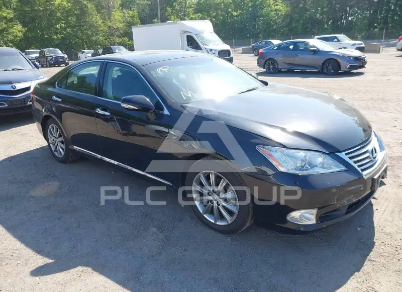 2010 Lexus ES350 фото