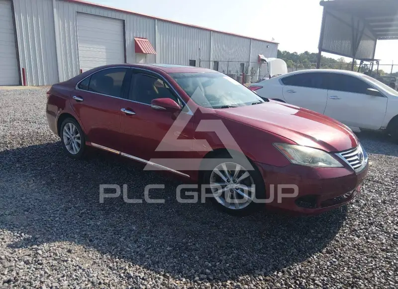 2010 Lexus ES350 фото