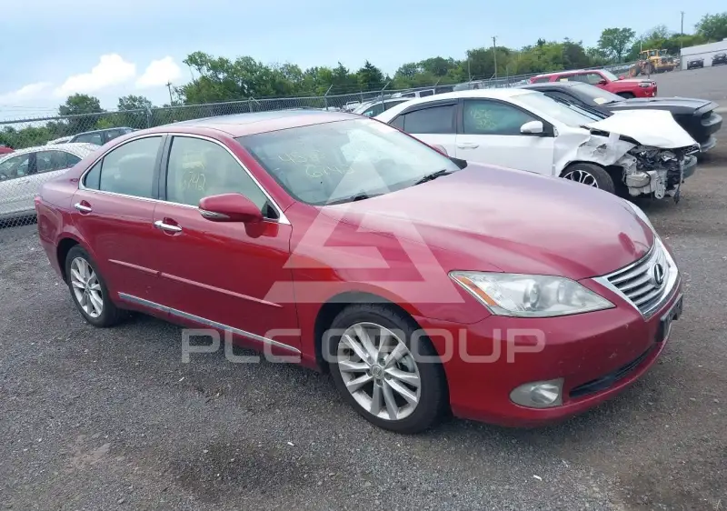 2010 Lexus ES350 фото