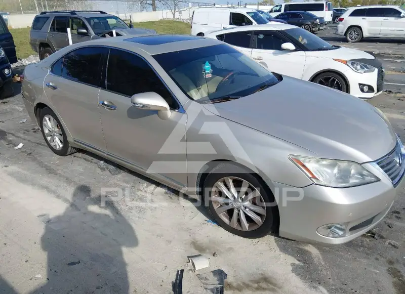 2010 Lexus ES350 фото