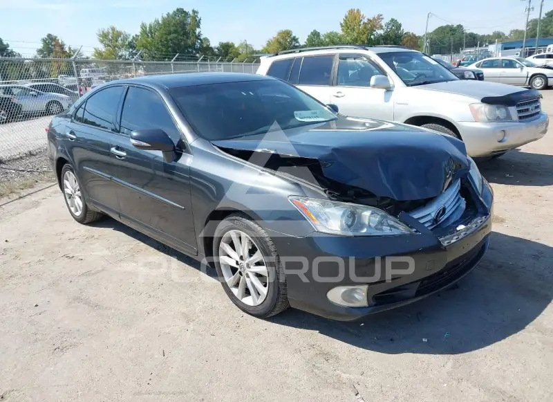 2010 Lexus ES350 фото