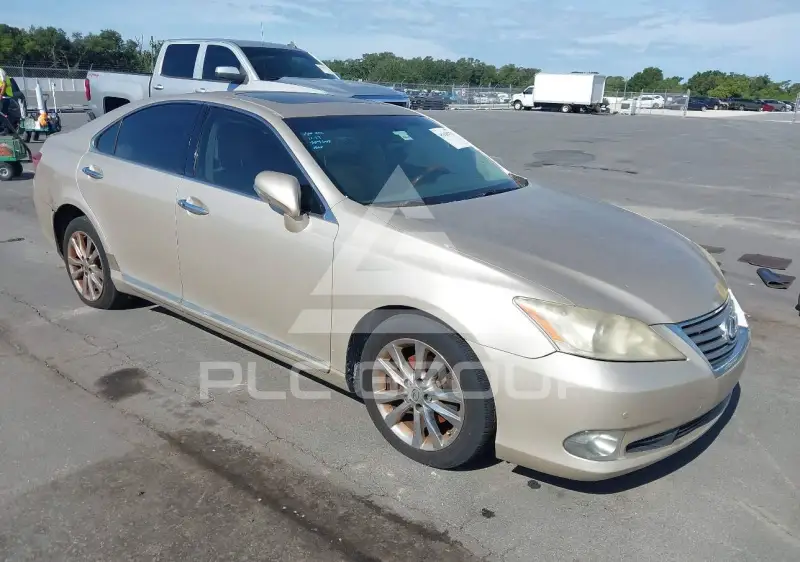 2010 Lexus ES350 фото
