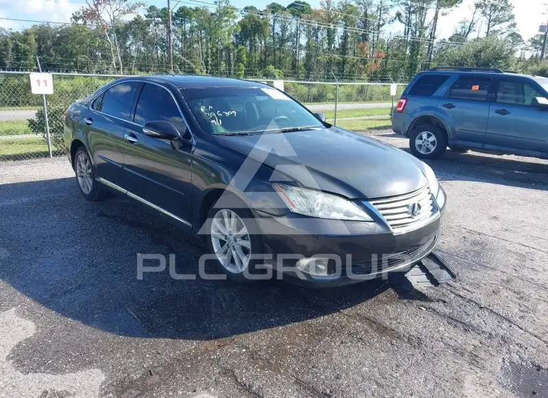 2010 Lexus ES350 фото