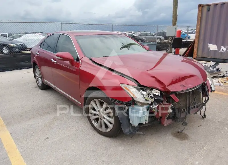 2010 Lexus ES350 фото