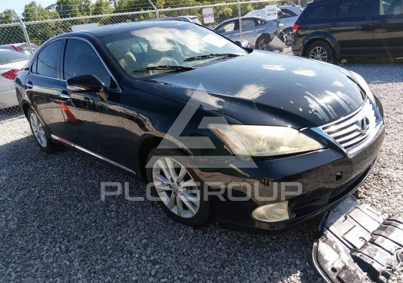 2010 Lexus ES350 фото