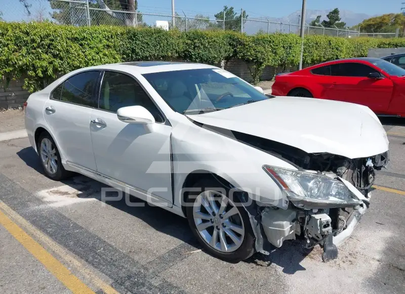 2010 Lexus ES350 фото