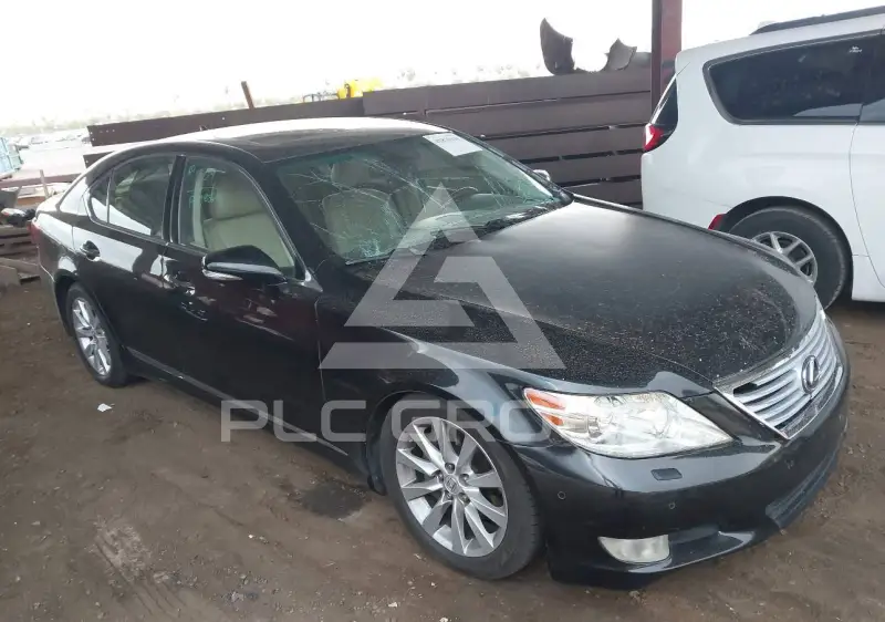 2010 Lexus LS460 фото