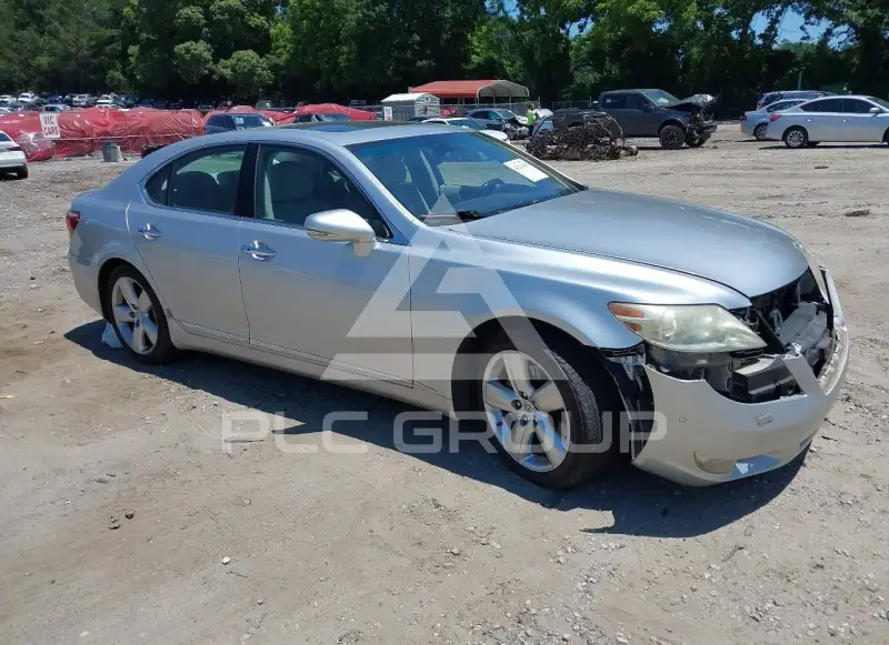 2010 Lexus LS460 фото