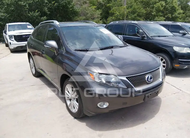 2010 Lexus RX450 фото