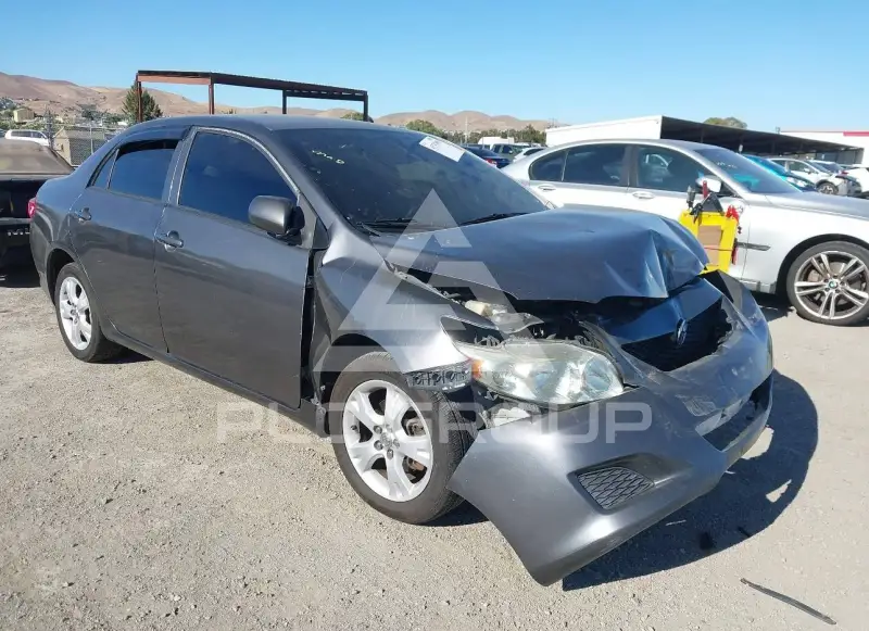 2010 Toyota COROLLA фото