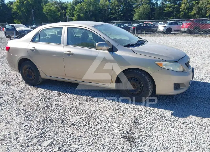 2010 Toyota COROLLA photo