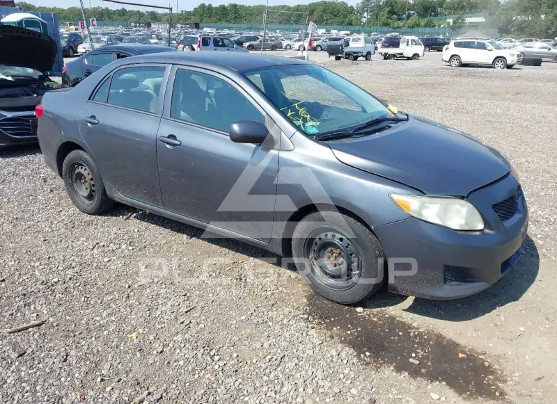 2010 Toyota COROLLA photo
