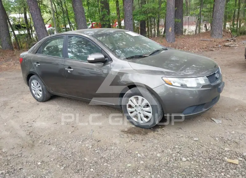 2010 KIA Forte photo