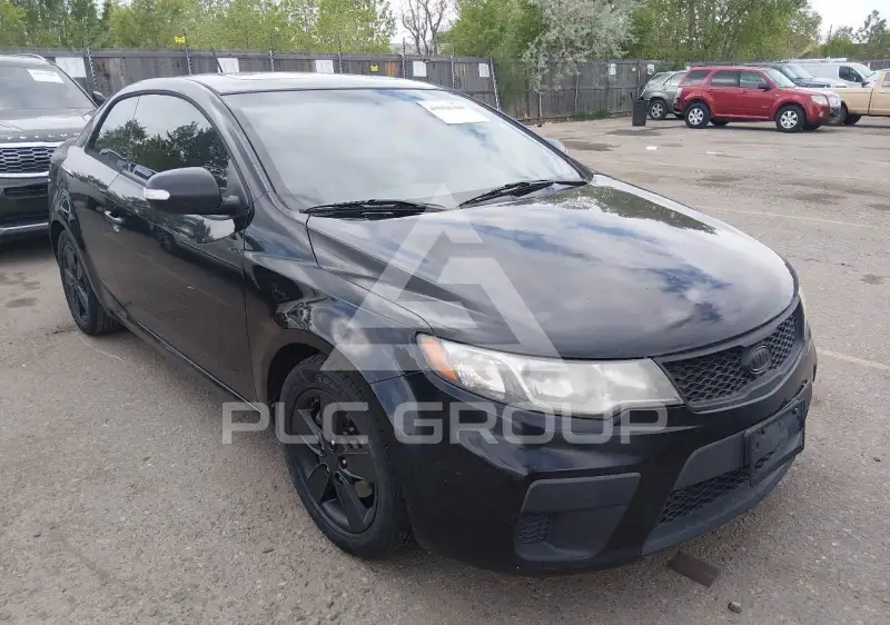 2010 KIA Forte photo