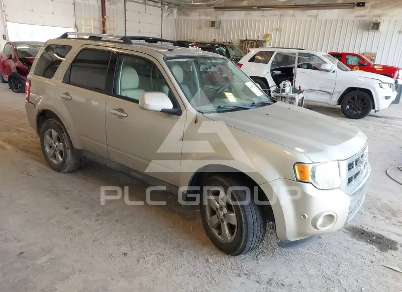 2010 Ford ESCAPE фото
