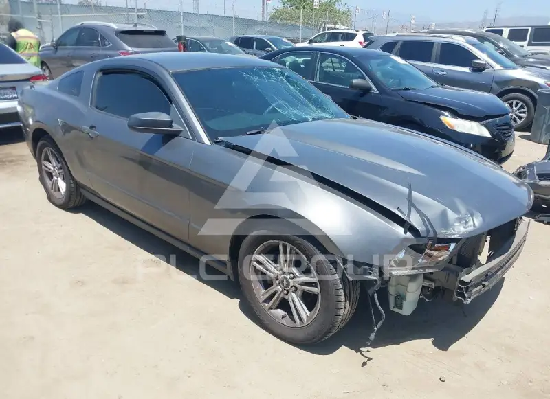 2010 Ford MUSTANG photo