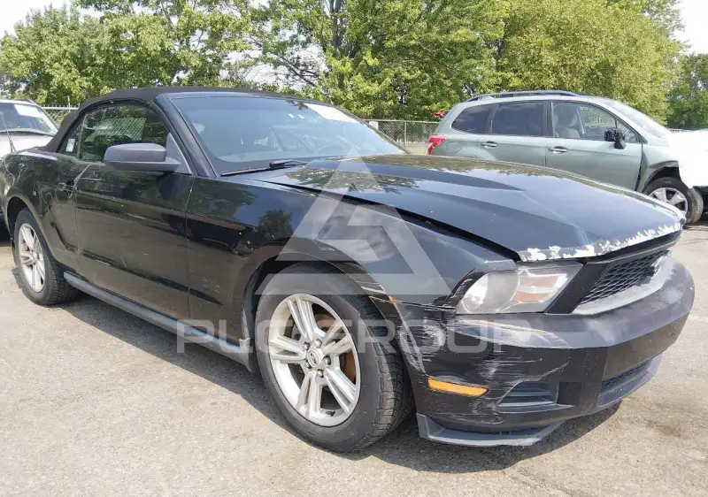 2010 Ford MUSTANG фото