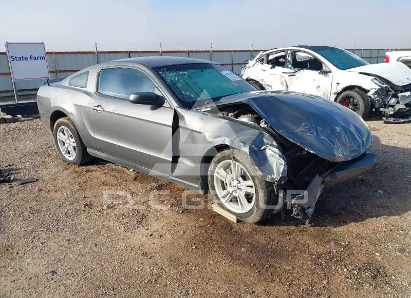 2010 Ford MUSTANG фото