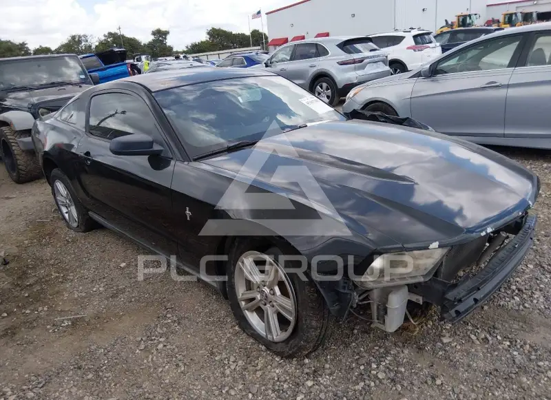 2010 Ford MUSTANG фото