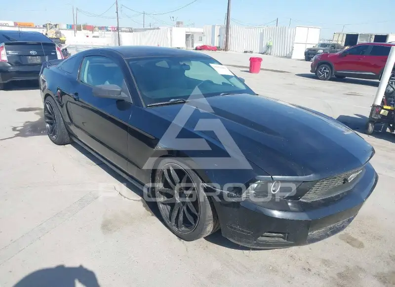 2010 Ford MUSTANG photo