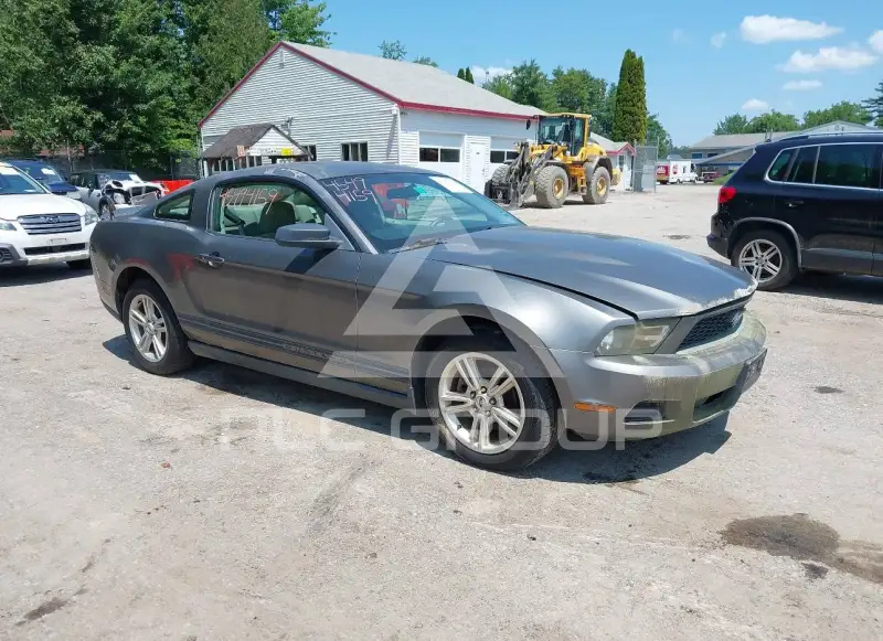 2010 Ford MUSTANG photo