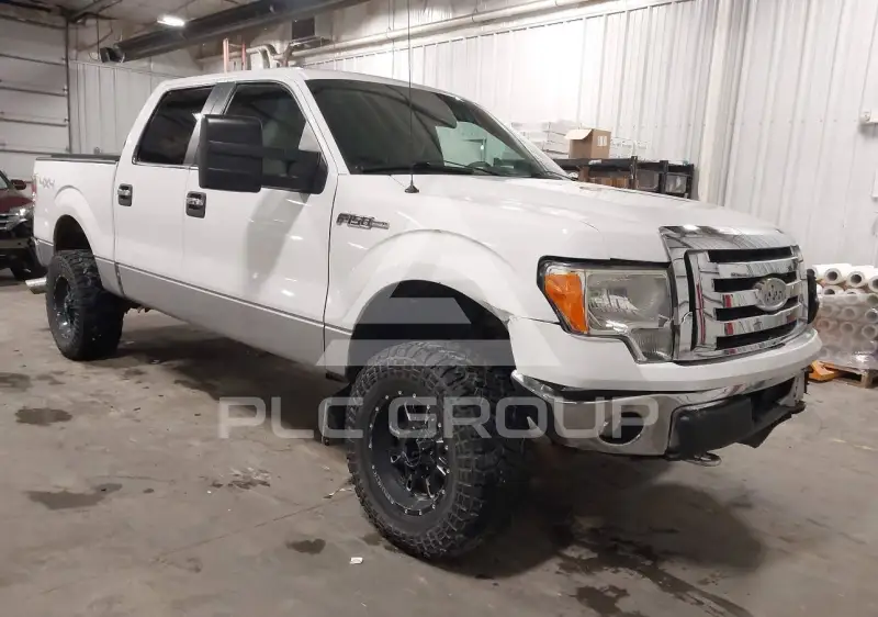 2010 Ford F-150 фото