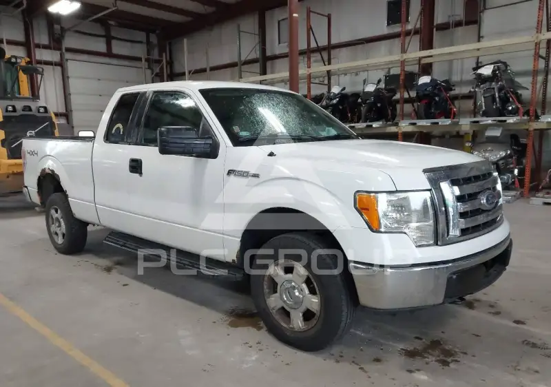 2010 Ford F-150 photo
