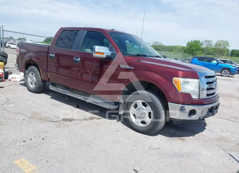 2010 Ford F-150 photo
