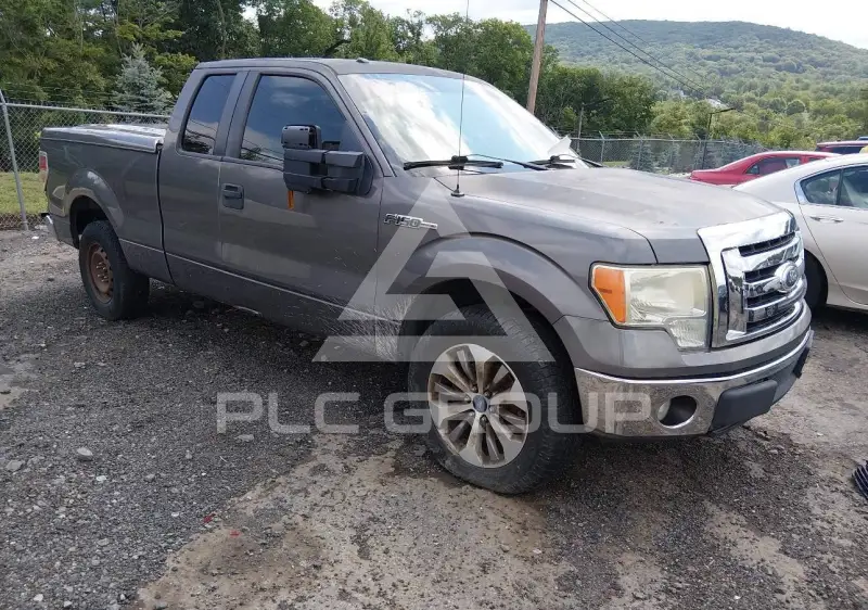 2010 Ford F-150 photo
