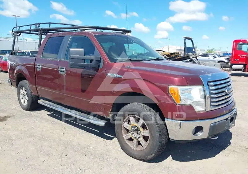 2010 Ford F-150 фото