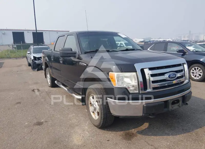 2010 Ford F-150 photo