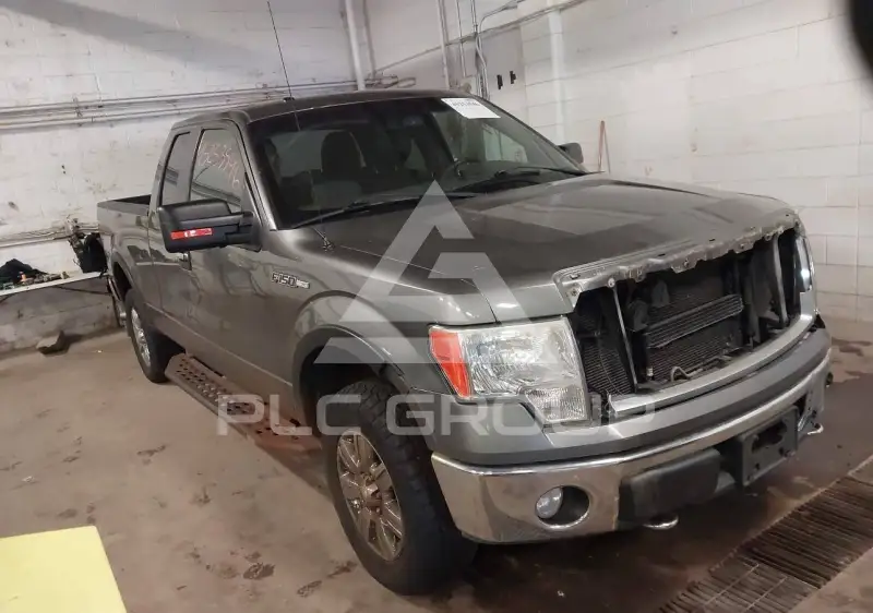 2010 Ford F-150 photo