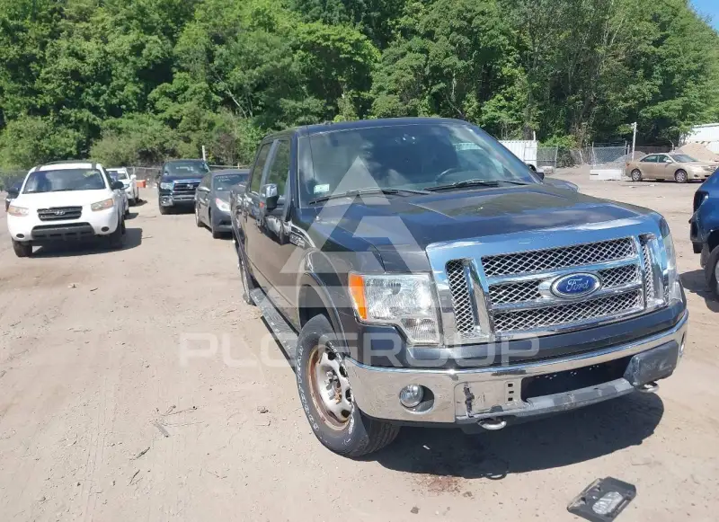 2010 Ford F-150 фото