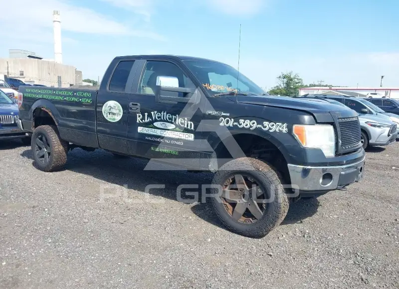 2010 Ford F-150 photo