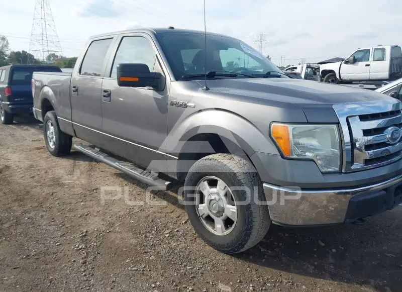 2010 Ford F-150 photo