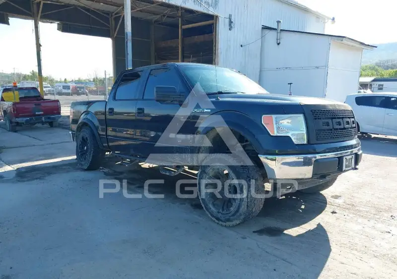 2010 Ford F-150 фото