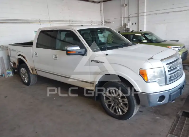 2010 Ford F-150 photo